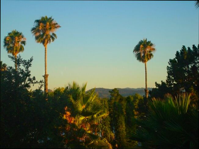 Pros and Cons of Living in Concord CA - 3