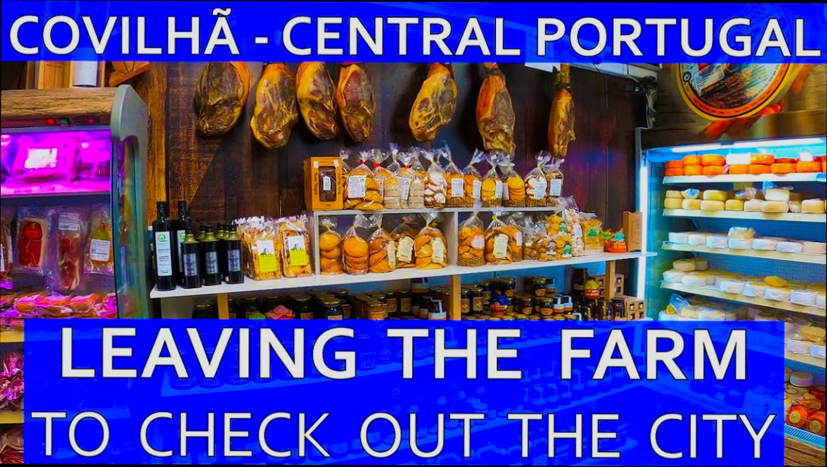 Pros and Cons of Living in Covilhã - 2