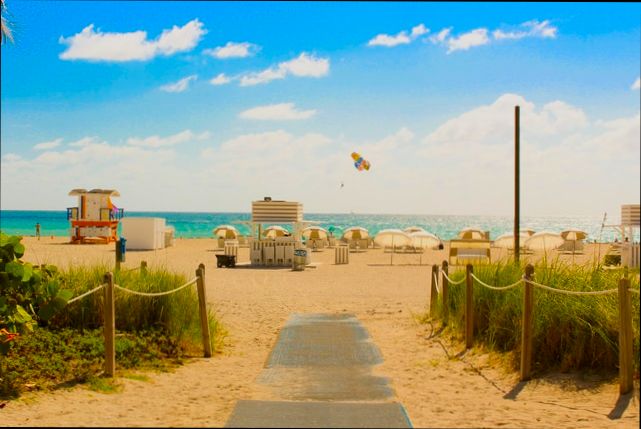 Pros and Cons of Living in Davie FL - 1