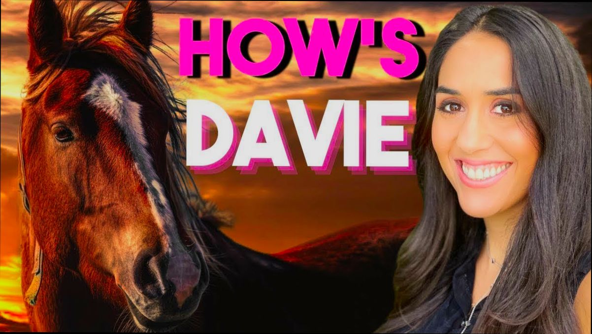 Pros and Cons of Living in Davie FL - 2