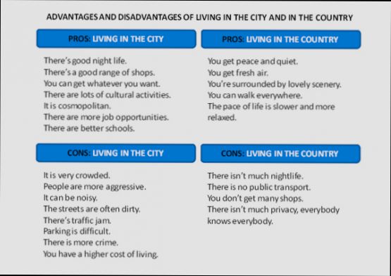 Pros and Cons of Living in Deventer - 4