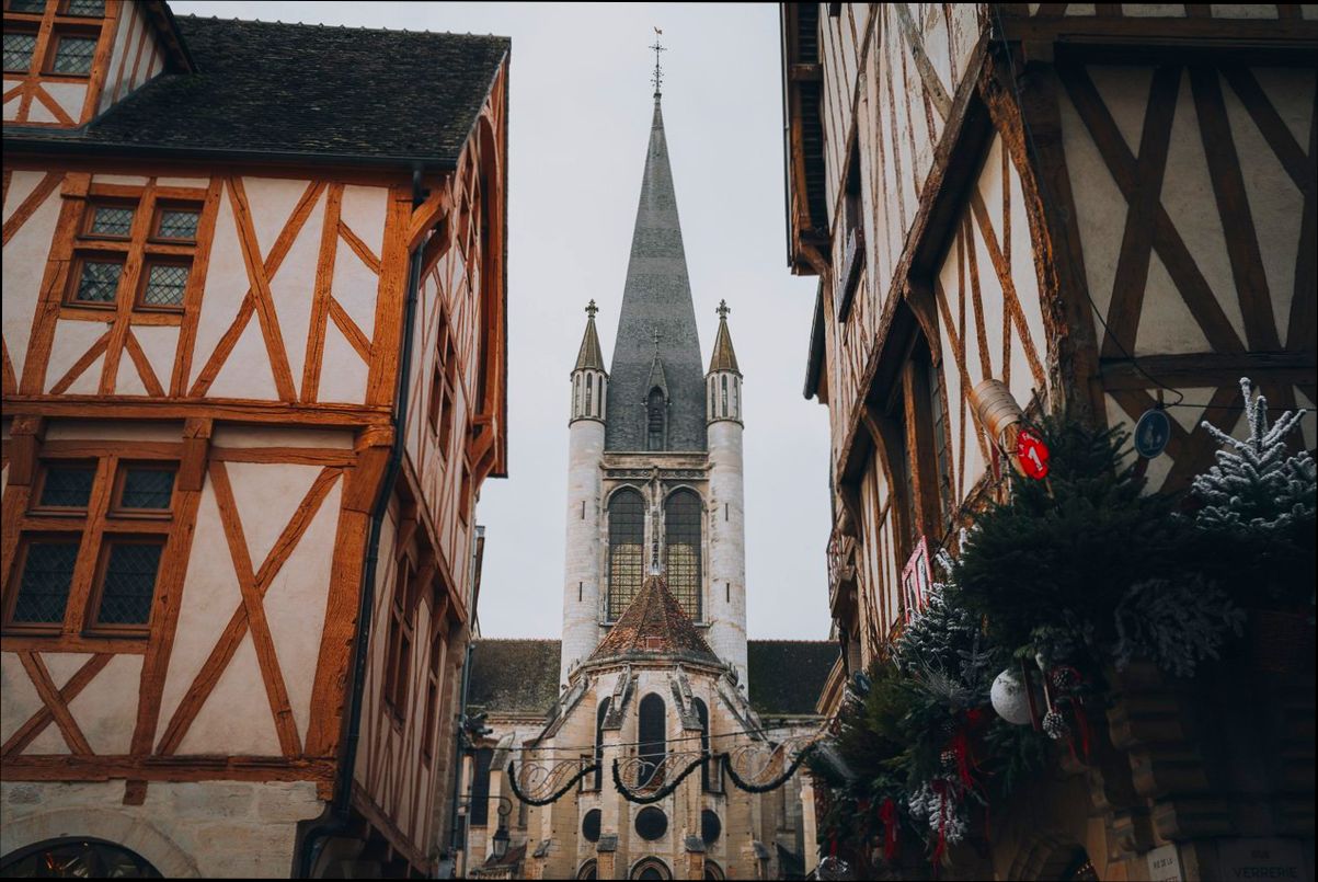 Pros and Cons of Living in Dijon France as an Expat preview