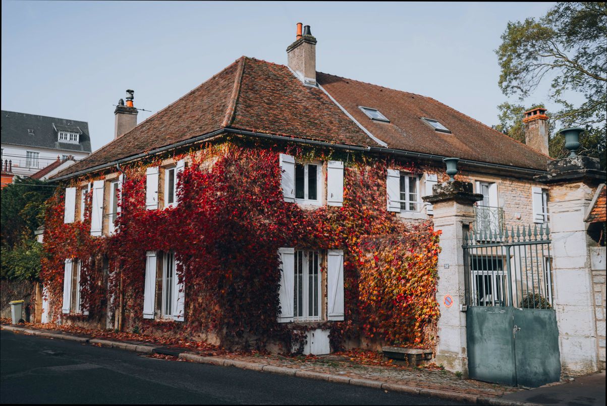 Pros and Cons of Living in Dijon France as an Expat - 5