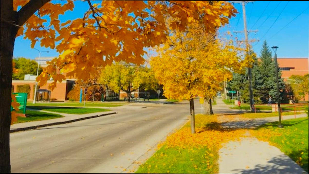 Pros and Cons of Living in Fargo ND - 4