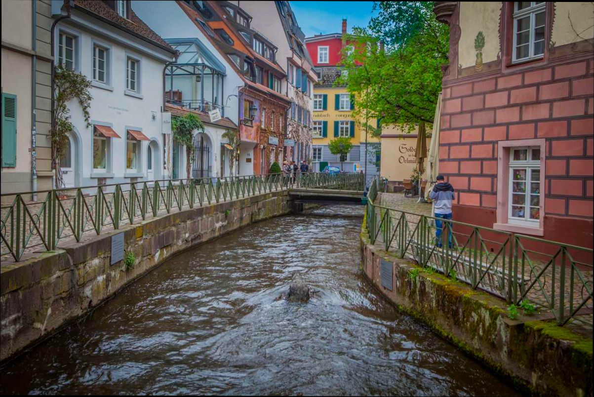 Pros and Cons of Living in Freiburg im Breisgau - 0