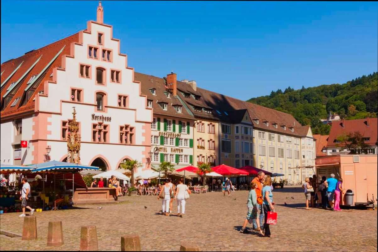 Pros and Cons of Living in Freiburg im Breisgau - 1