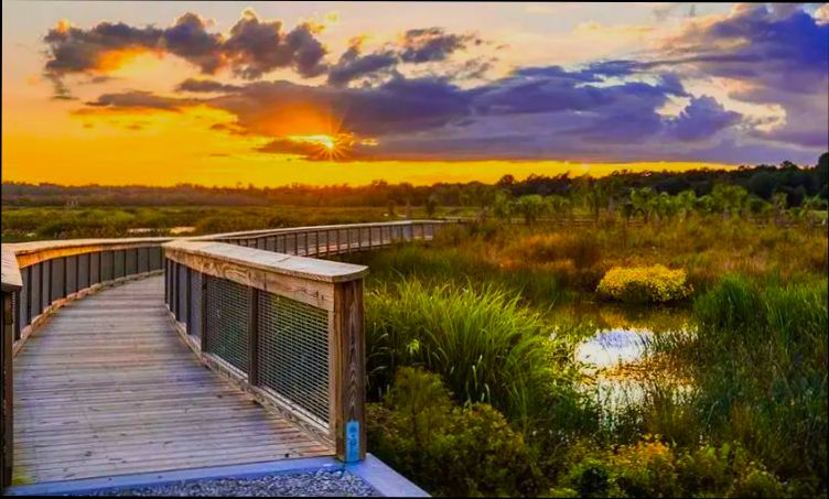 Pros and Cons of Living in Gainesville FL - 1