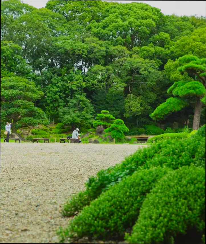 Pros and Cons of Living in Garden Grove CA - 1