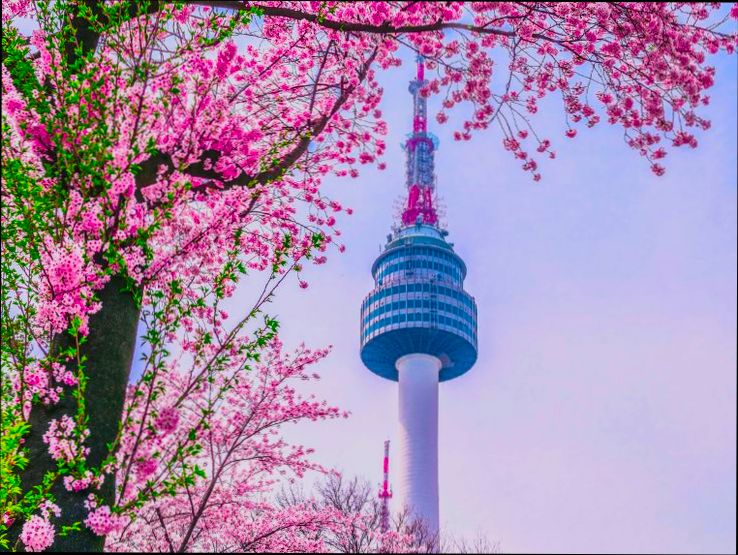 Pros and Cons of Living in Gaziantep - 5