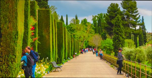 Pros and Cons of Living in Granada Spain as an Expat preview