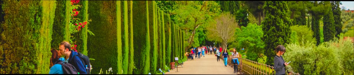 Pros and Cons of Living in Granada Spain as an Expat - 4