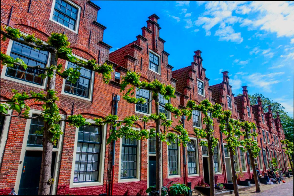 Pros and Cons of Living in Haarlem - 0