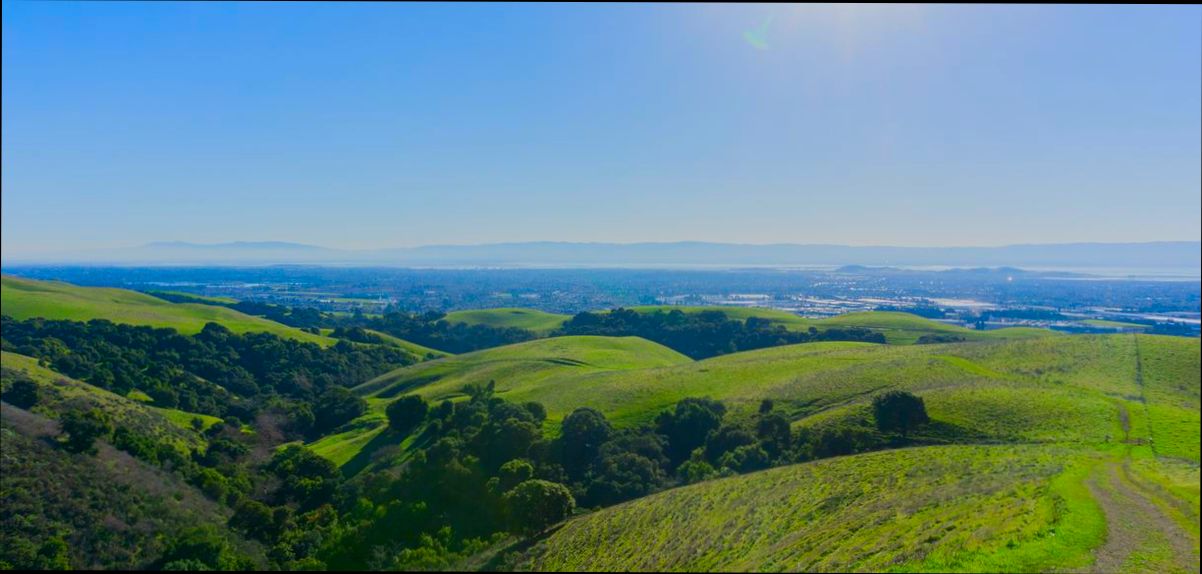 Pros and Cons of Living in Hayward CA - 2