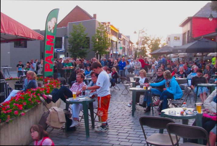 Pros and Cons of Living in Heist op den Berg - 4