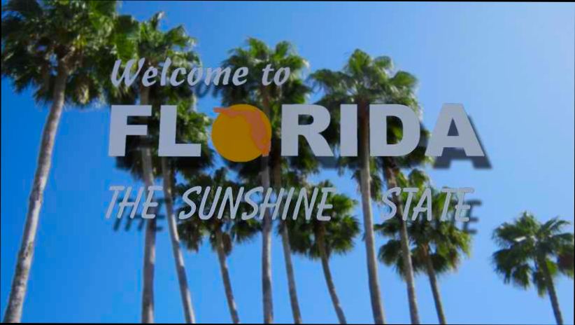 Pros and Cons of Living in Hollywood FL - 4