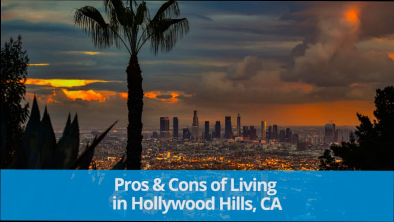 Pros and Cons of Living in Hollywood FL - 6