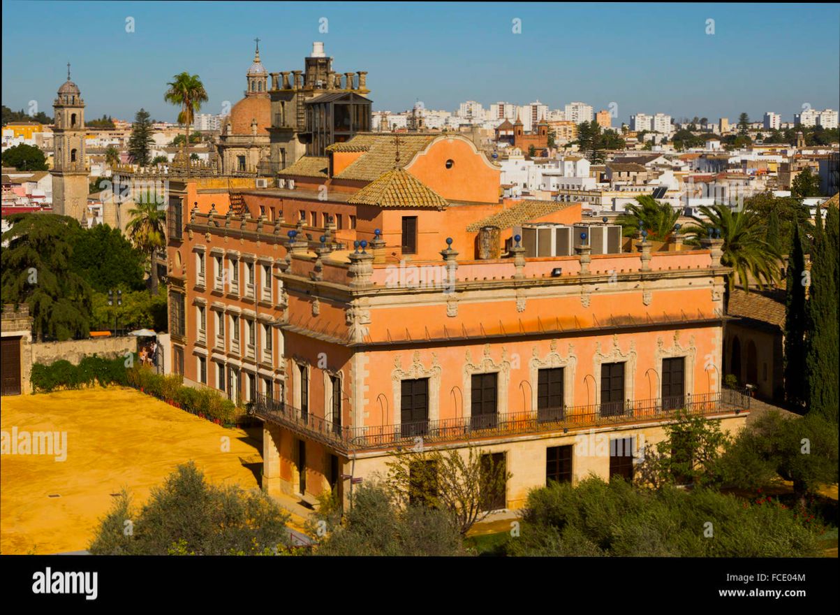 Pros and Cons of Living in Jerez de la Frontera - 5