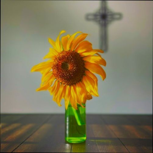 Pros and Cons of Living in Killeen TX - 1