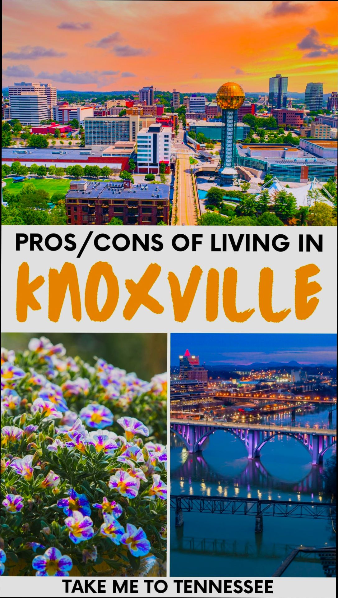 Pros and Cons of Living in Knoxville TN preview