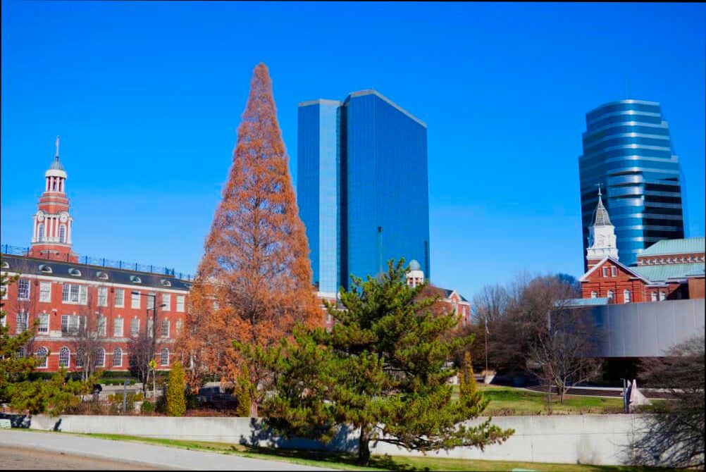 Pros and Cons of Living in Knoxville TN - 2