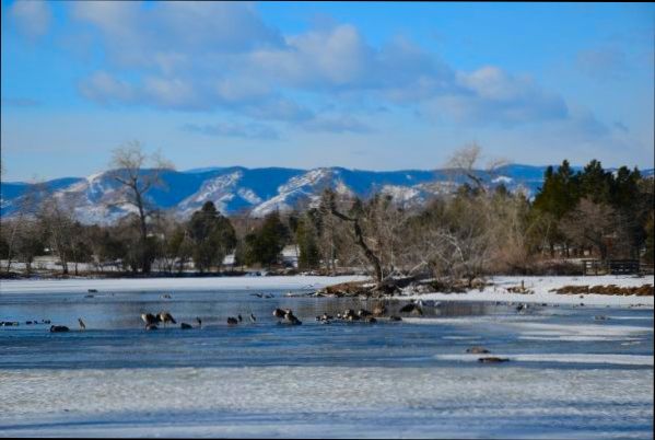 Pros and Cons of Living in Lakewood CO - 1