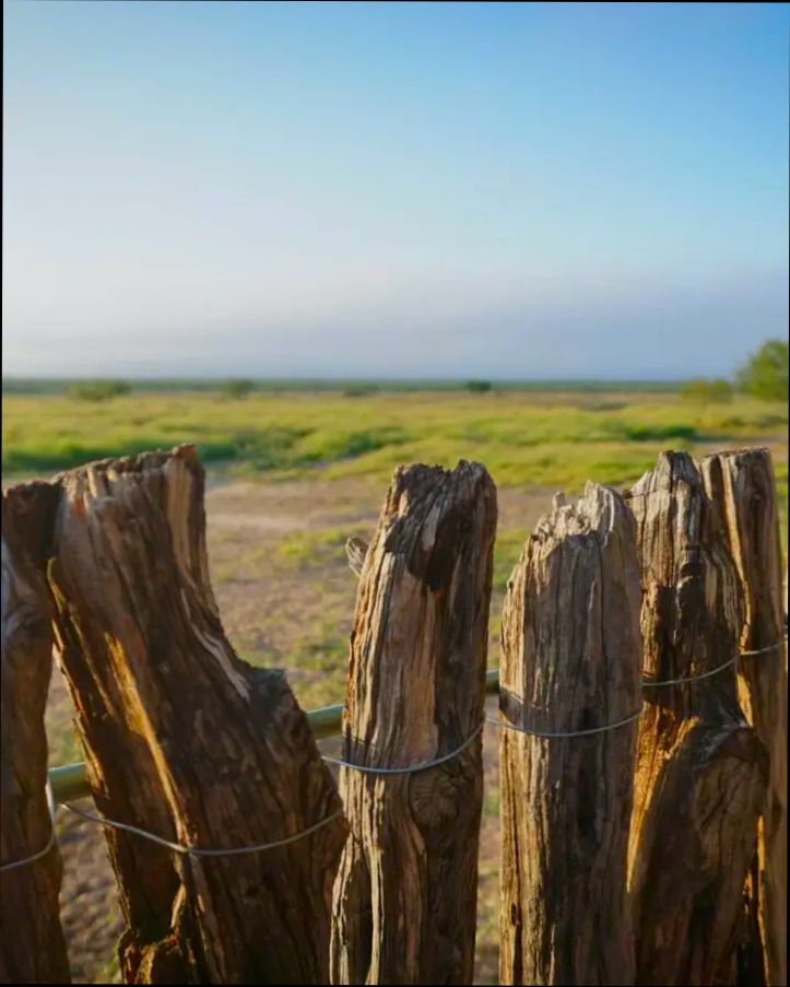 Pros and Cons of Living in Laredo TX - 5