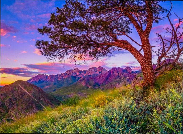 Pros and Cons of Living in Las Cruces NM preview