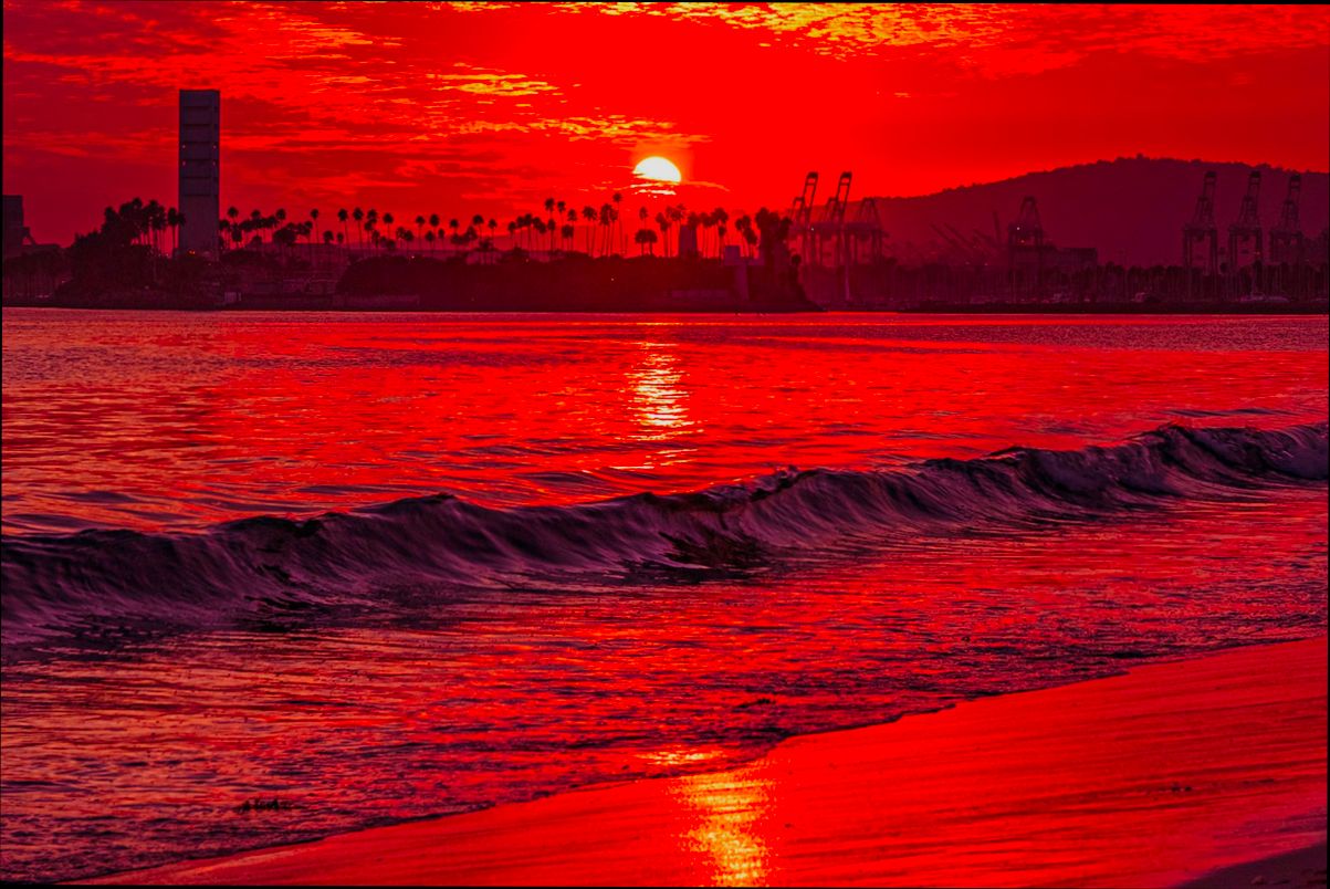 Pros and Cons of Living in Long Beach CA - 0