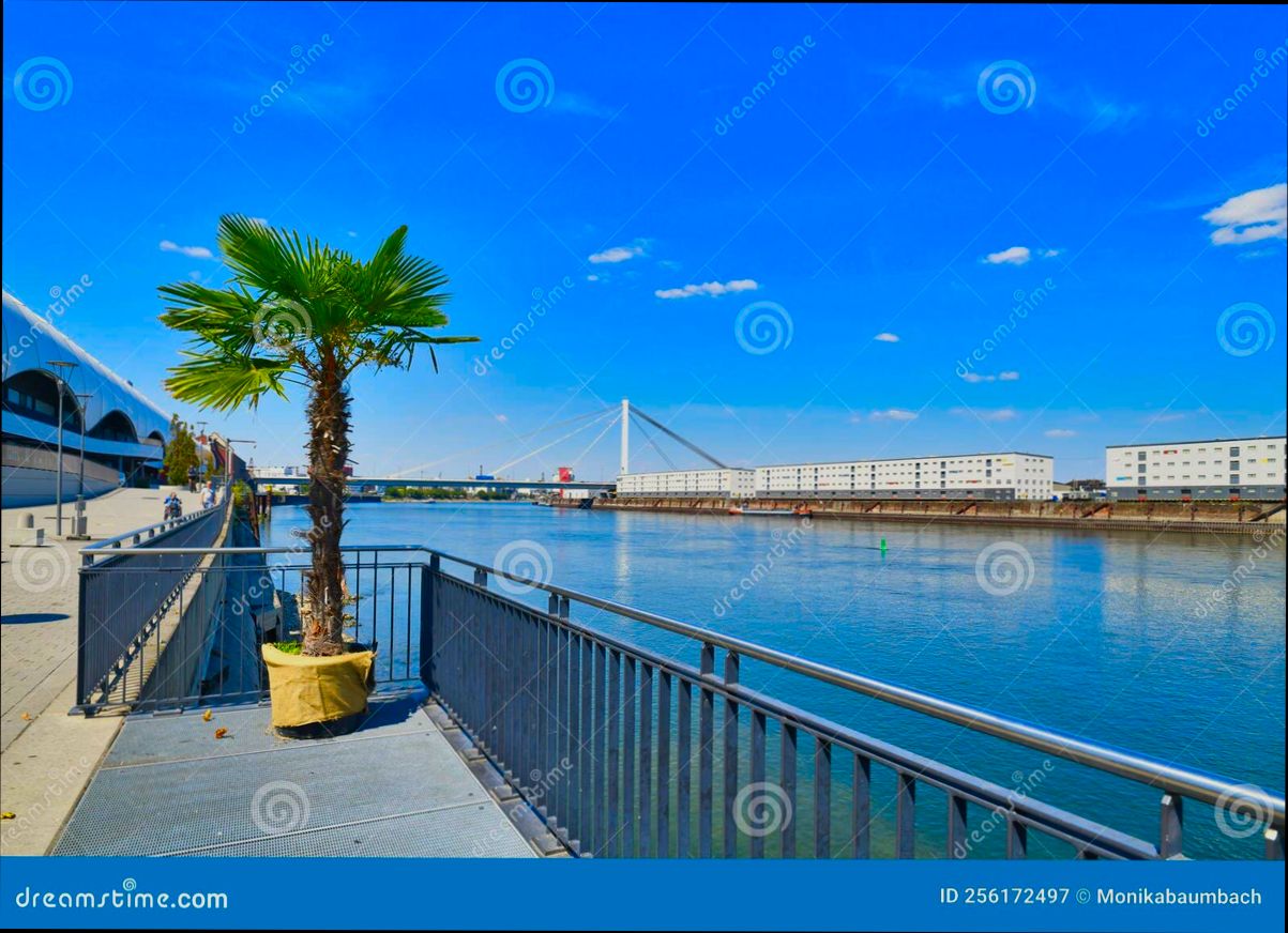 Pros and Cons of Living in Ludwigshafen am Rhein - 4