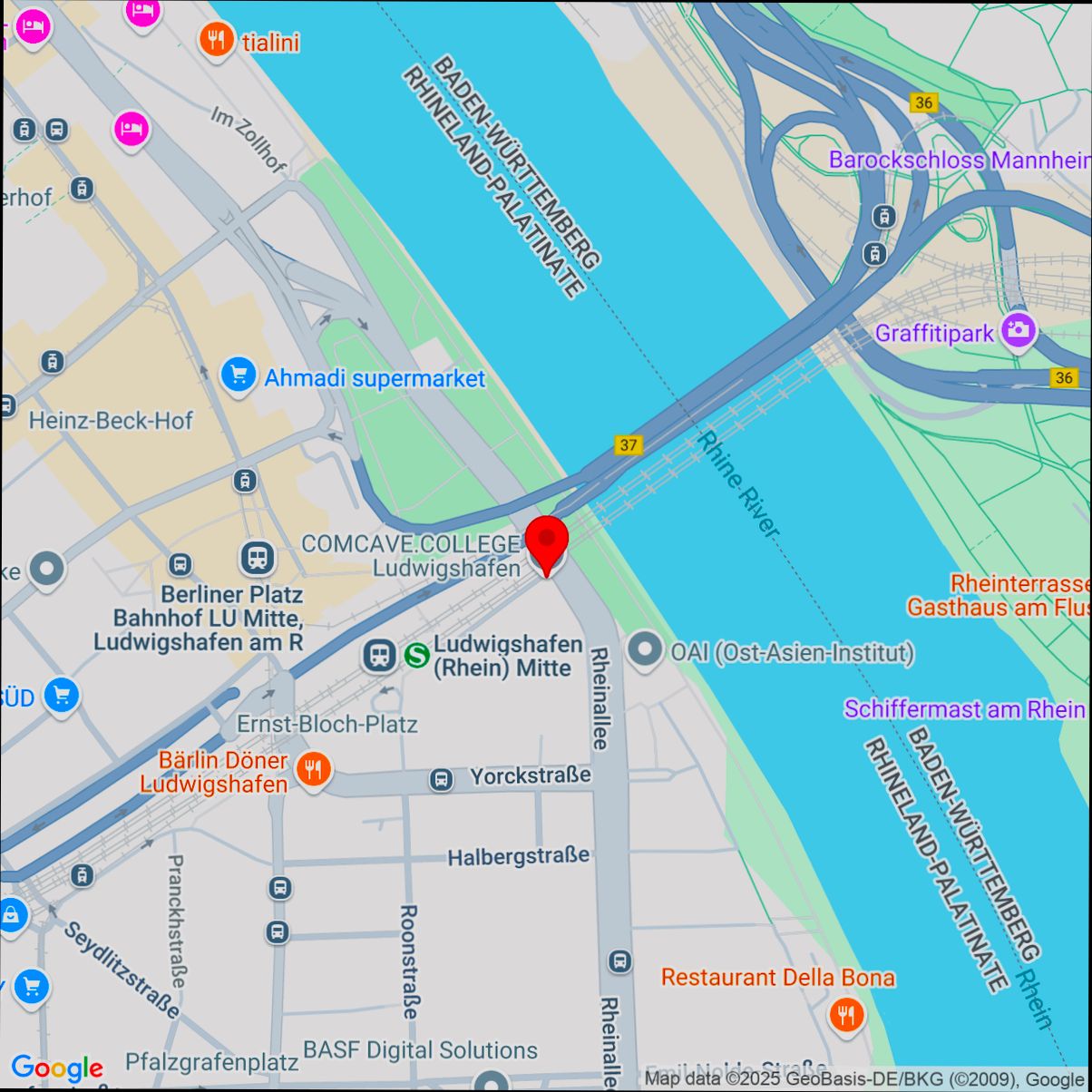 Pros and Cons of Living in Ludwigshafen am Rhein - 6