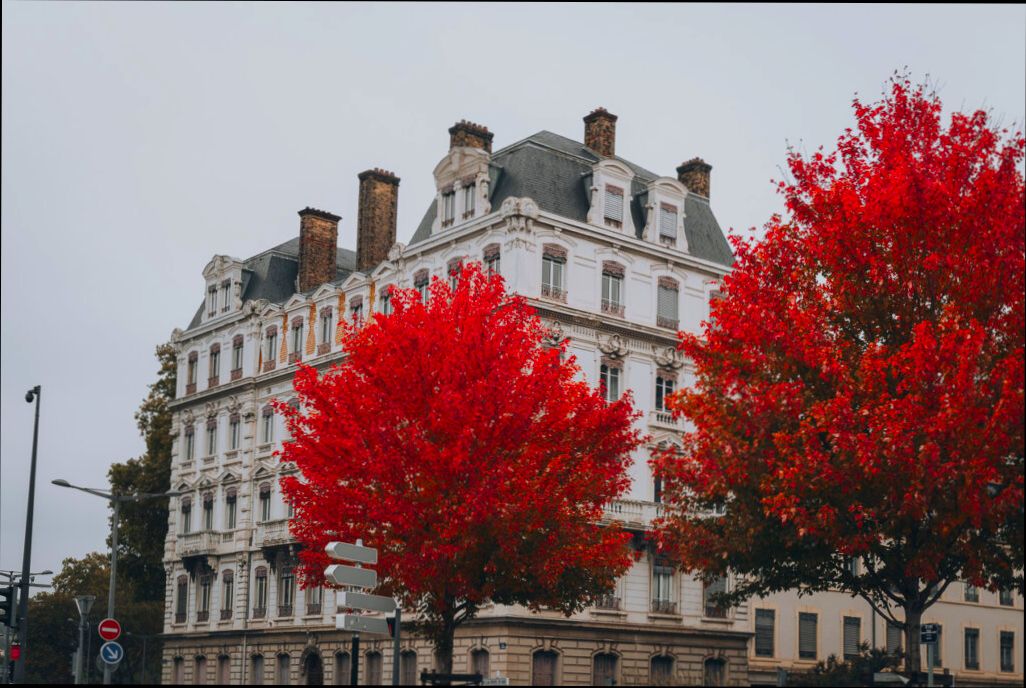 Pros and Cons of Living in Lyon France as an Expat - 1