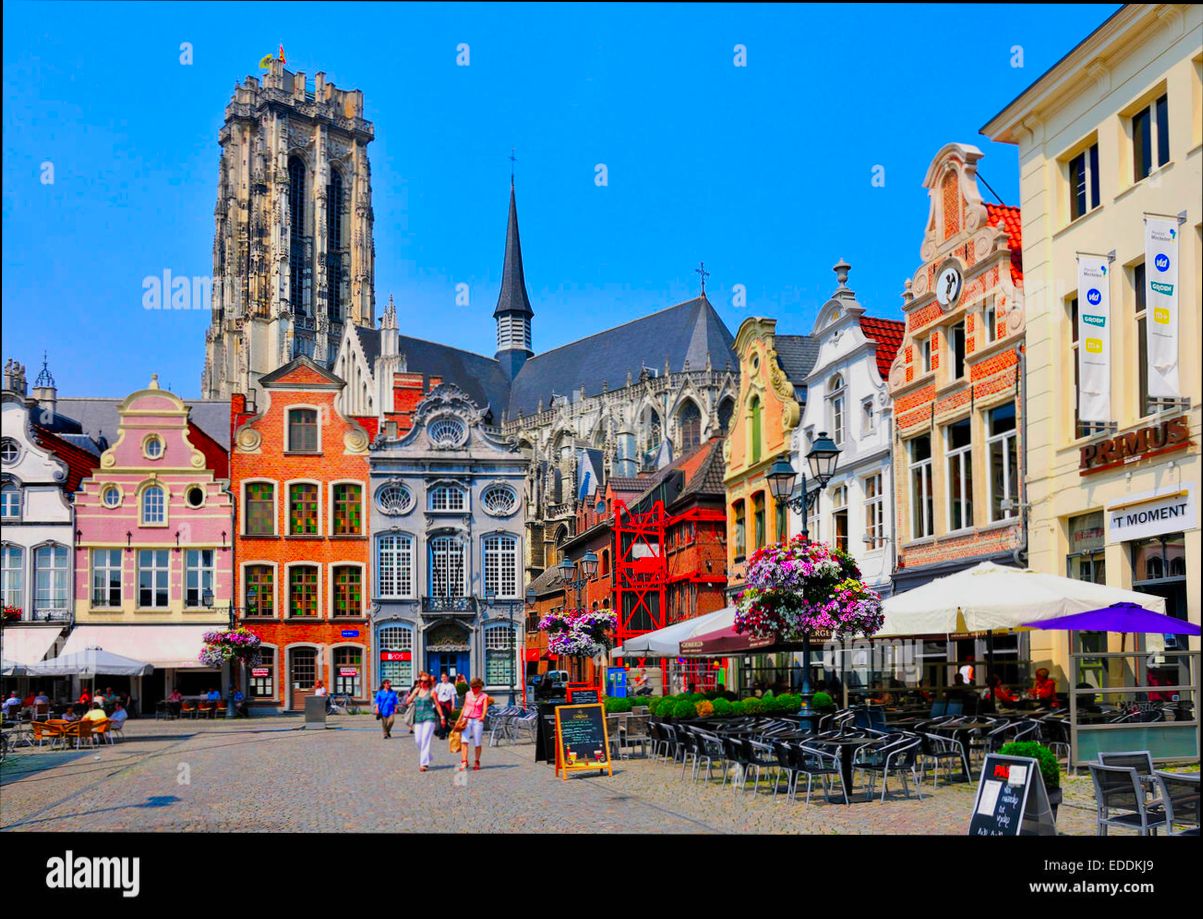 Pros and Cons of Living in Mechelen (Malines) preview