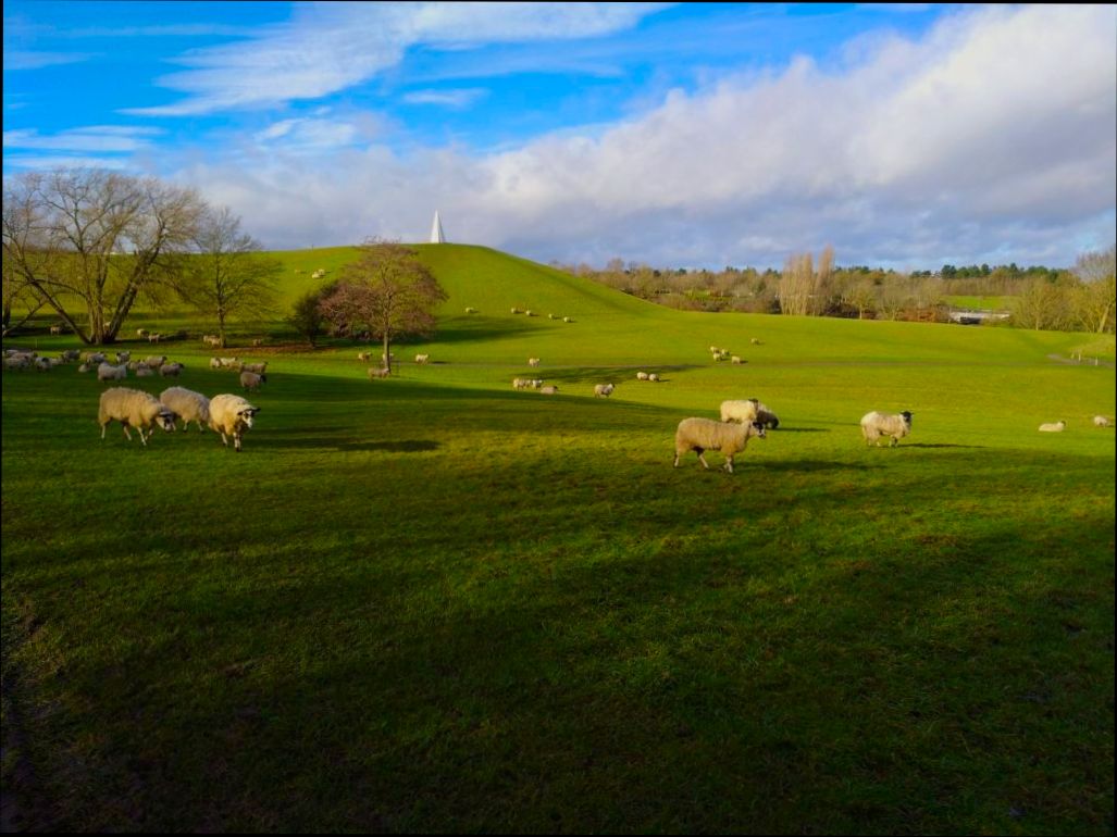 Pros and Cons of Living in Milton Keynes - 6