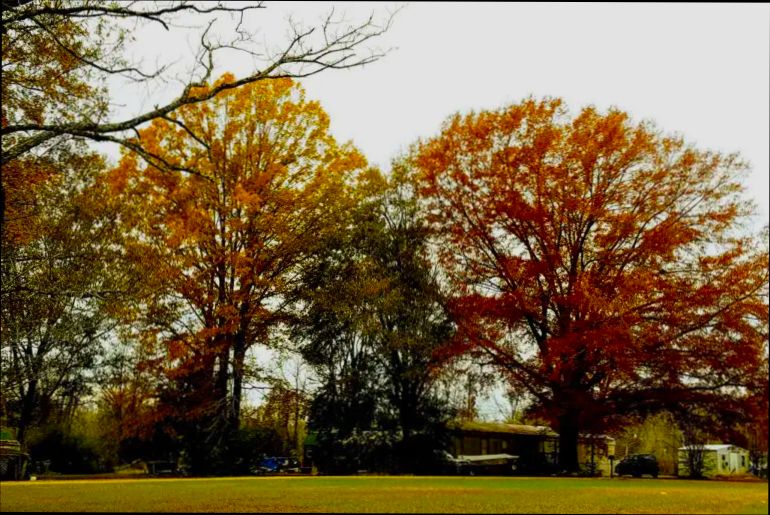 Pros and Cons of Living in Montgomery AL - 3