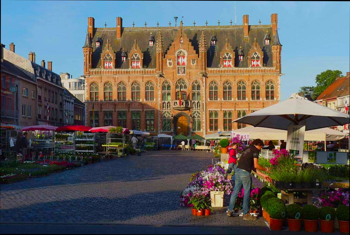 Pros and Cons of Living in Mouscron (Moeskroen) preview