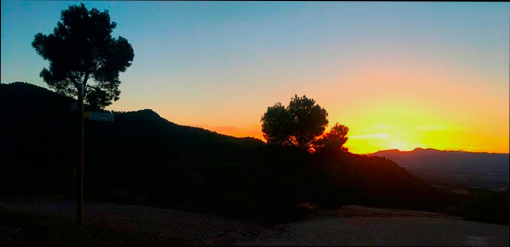 Pros and Cons of Living in Murcia - 4