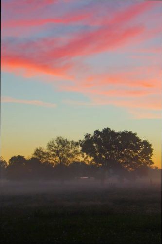 Pros and Cons of Living in Murfreesboro TN - 4