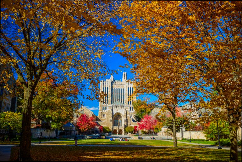 Pros and Cons of Living in New Haven CT - 3