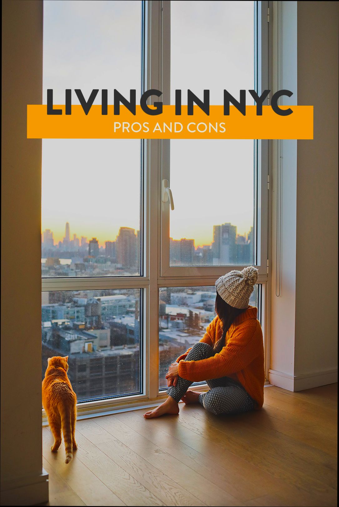 Pros and Cons of Living in New York NY - 5