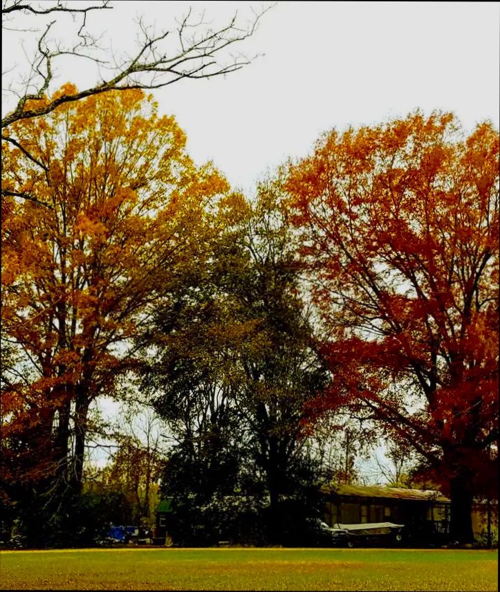 Pros and Cons of Living in Newport News VA - 5