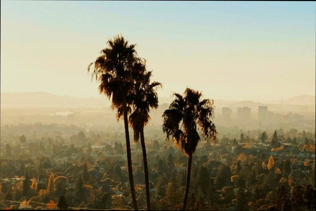 Pros and Cons of Living in Oakland CA - 3