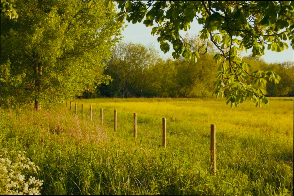 Pros and Cons of Living in Oxford - 5
