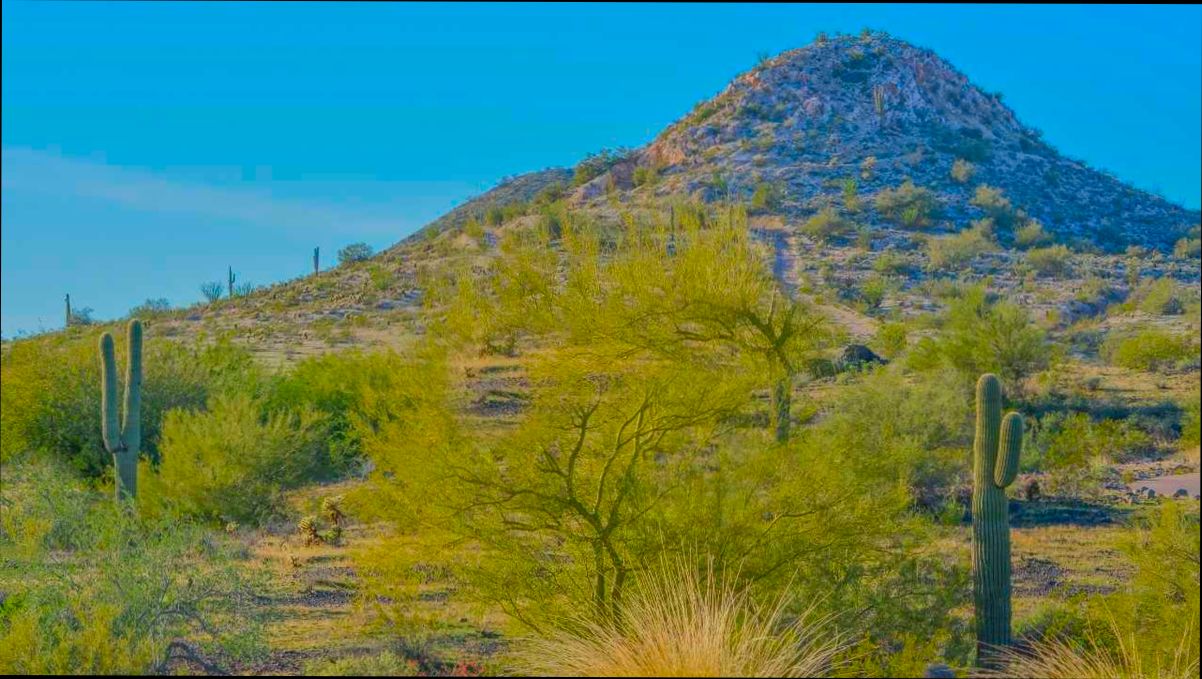 Pros and Cons of Living in Peoria AZ - 5