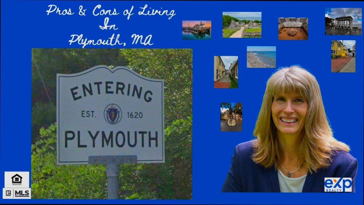 Pros and Cons of Living in Plymouth preview
