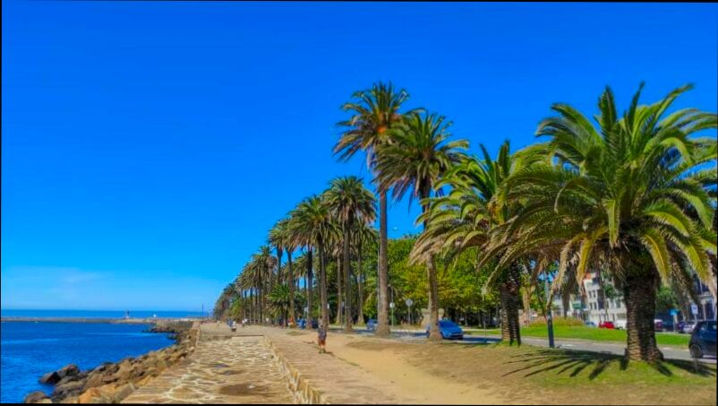 Pros and Cons of Living in Porto - 3