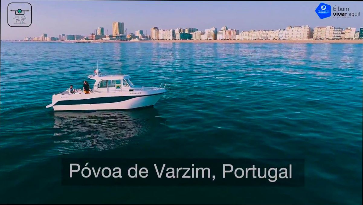 Pros and Cons of Living in Póvoa de Varzim preview