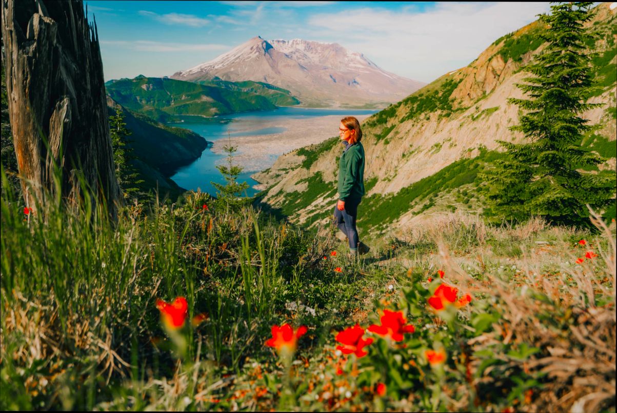 Pros and Cons of Living in Renton WA - 3