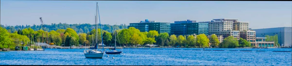 Pros and Cons of Living in Renton WA - 5