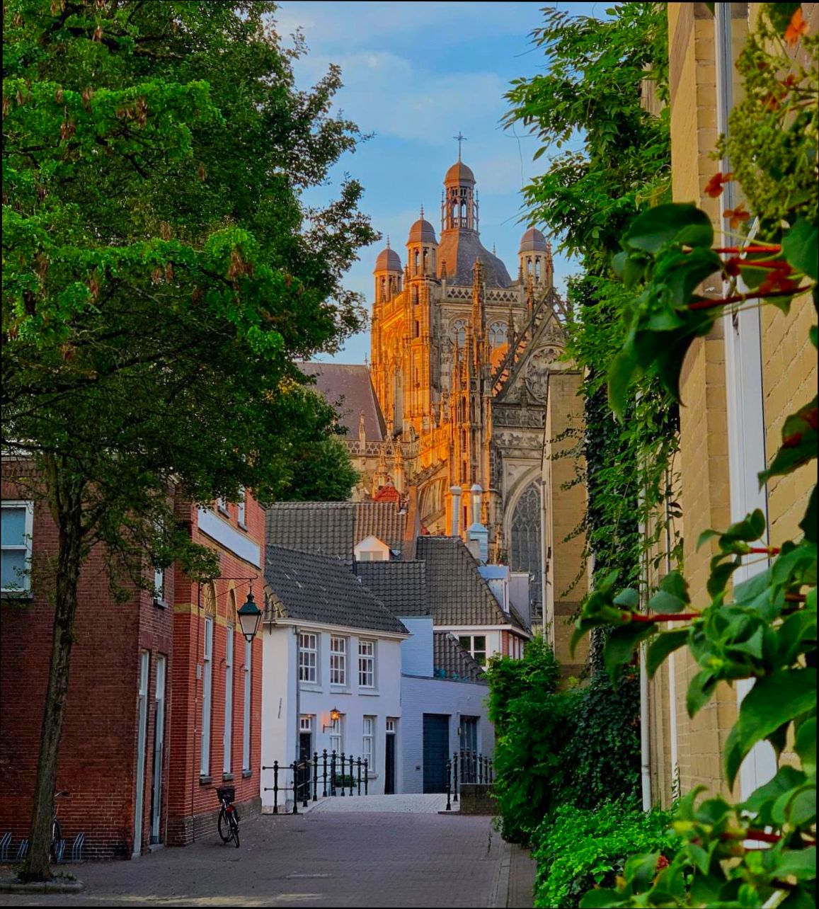 Pros and Cons of Living in s Hertogenbosch (Den Bosch) - 5
