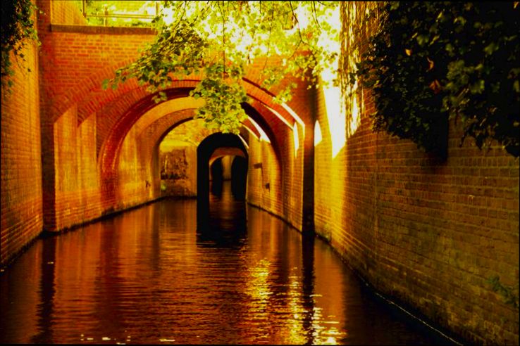 Pros and Cons of Living in s Hertogenbosch (Den Bosch) - 6